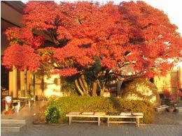 �G�[�X�i�s�a�F�Ԃ̂����ĂȂ�������